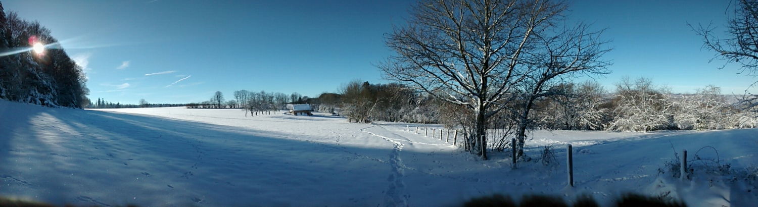 Sneeuw Vogezen