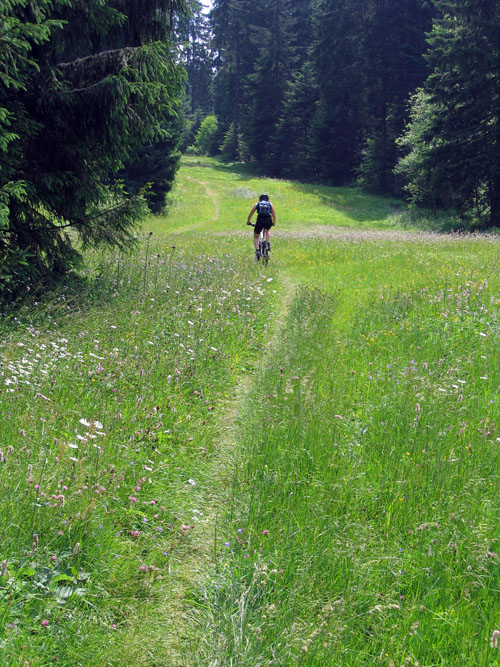 MTB Vogezen Gerardmer 1