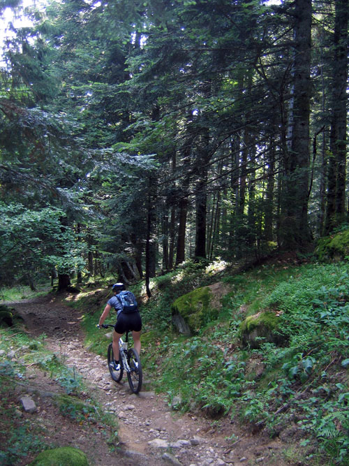 MTB Vogezen Gerardmer 4